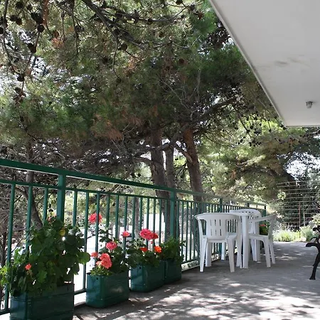 アパート Obnova Bager